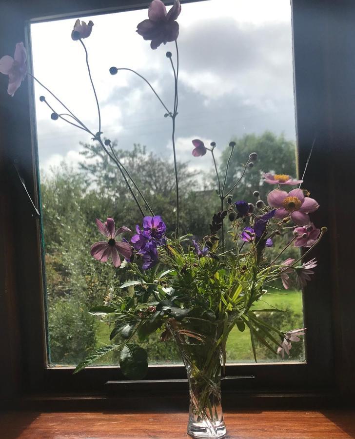 Tranquil Water Bed & Breakfast Midleton